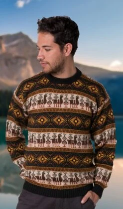 Andean Style Alpaca Sweater For Men 5 Andean Style Alpaca Sweater For Men -Gamboa Fashion ALCHH001 12166