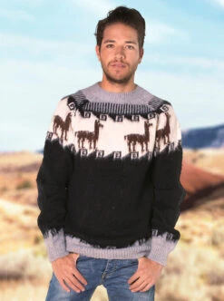 Andean Crewneck Alpaca Sweater For Men