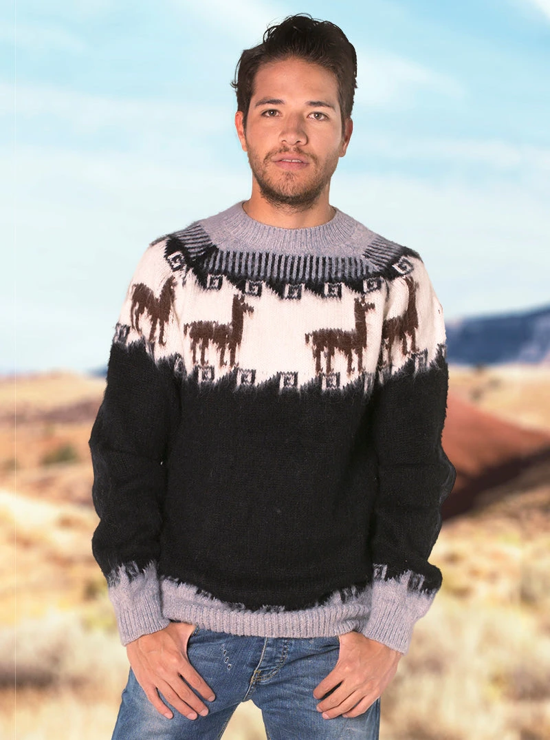 Andean Crewneck Alpaca Sweater For Men 1 Andean Crewneck Alpaca Sweater For Men