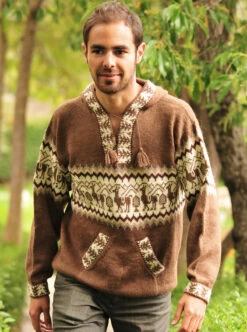 Andean Brown Alpaca Hoodie For Men