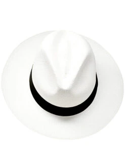 White Panama Hat For Men - Fedora Hat -Gamboa Fashion demarpa0037 v5 L 7348831d 3e8c 4c6f 87c9 3a3d1a68e6e9